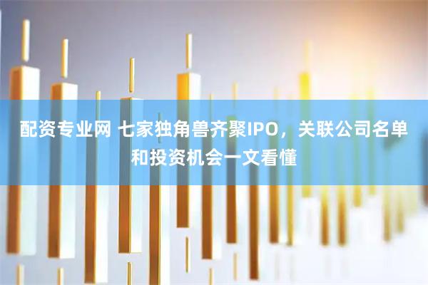 配资专业网 七家独角兽齐聚IPO，关联公司名单和投资机会一文看懂